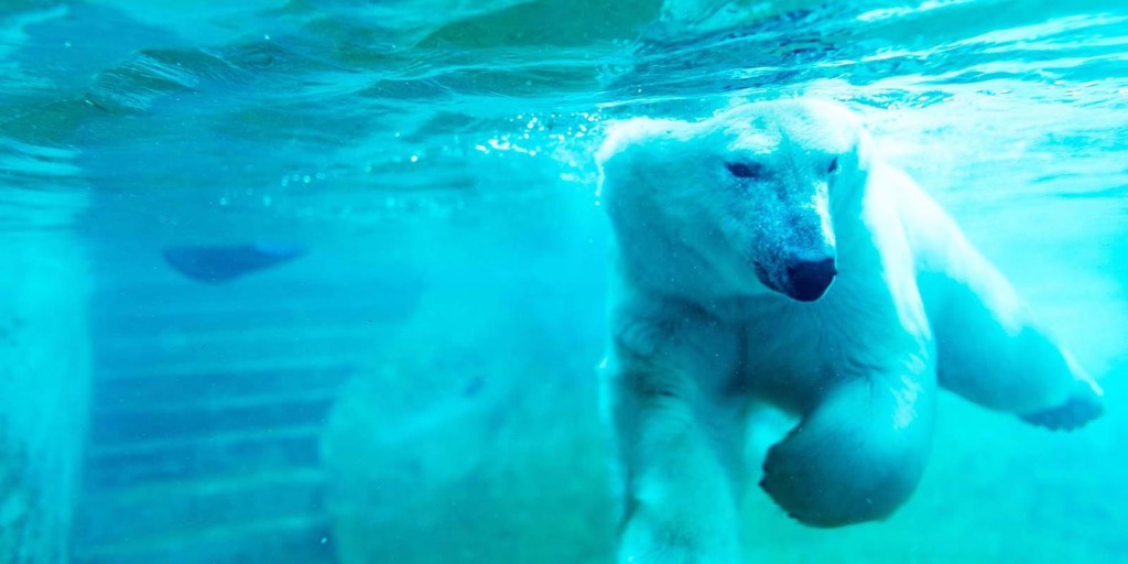 Aquarium du Québec