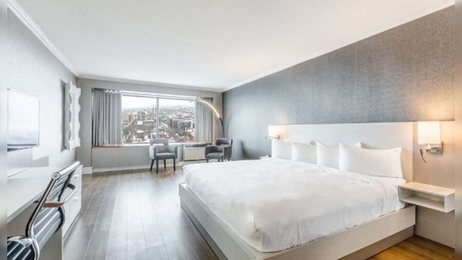 Suite Junior régulière 1 lit king