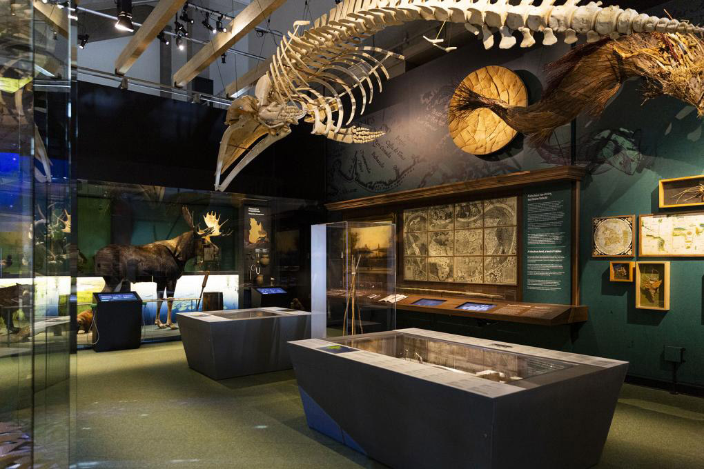 Musée de la Civilisation