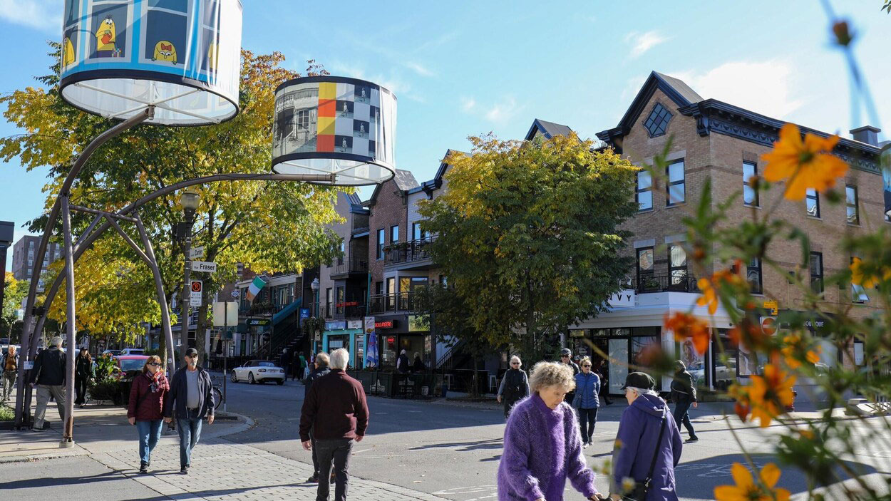 Cartier Avenue